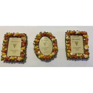 DEZINE Vintage Citrus Orchard Collection 2X 3 Hand Painted Frames (Set Of 3)